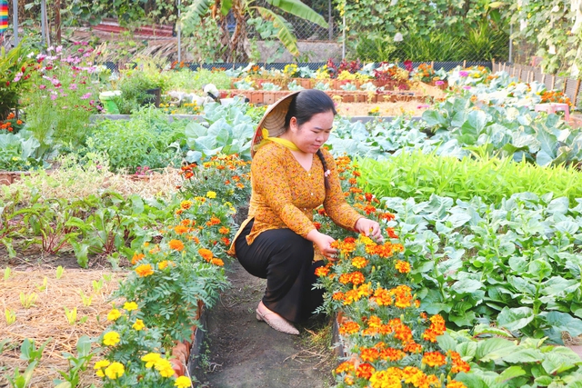 Vườn rau xanh mướt, rực rỡ sắc hoa trong l&ograve;ng th&agrave;nh phố - Ảnh 1.