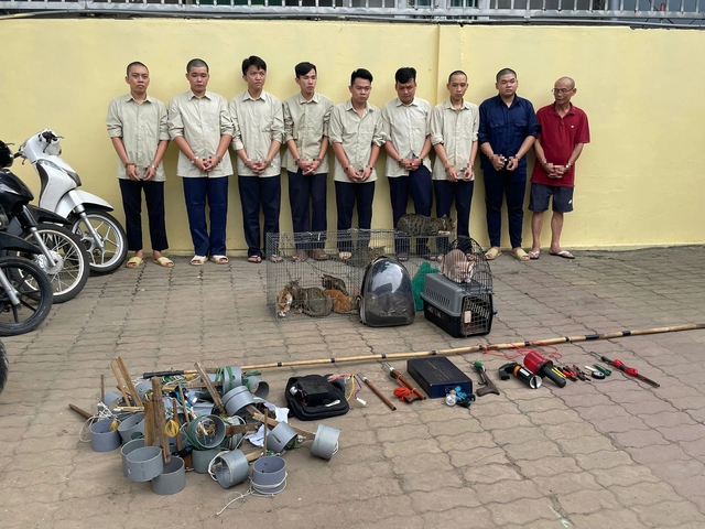 Triệt ph&aacute; băng nh&oacute;m chuy&ecirc;n trộm m&egrave;o, d&ugrave;ng b&igrave;nh xịt hơi cay chống trả - Ảnh 1.