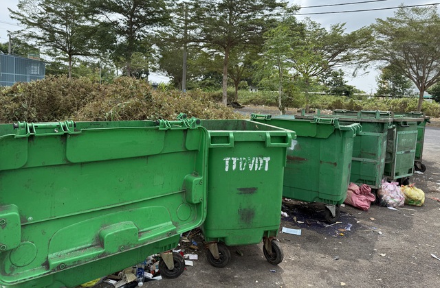 3 phường ở C&agrave; Mau ngưng gom r&aacute;c thải 3 ng&agrave;y tết: C&oacute; lo ứ r&aacute;c, &ocirc; nhiễm? - Ảnh 1.