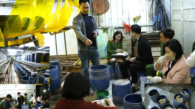 Khởi tố chủ cơ sở d&ugrave;ng chất k&iacute;ch th&iacute;ch sản xuất gần 2,8 tấn gi&aacute; đỗ- Ảnh 1.