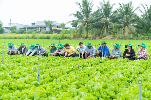 Ph&acirc;n b&oacute;n C&agrave; Mau ti&ecirc;n phong triển khai chuỗi m&ocirc; h&igrave;nh canh t&aacute;c năng suất cao- Ảnh 1.