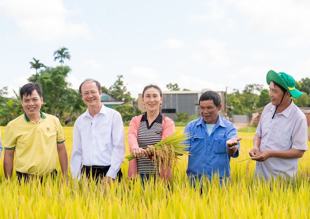 Ph&acirc;n b&oacute;n C&agrave; Mau ti&ecirc;n phong triển khai chuỗi m&ocirc; h&igrave;nh canh t&aacute;c năng suất cao- Ảnh 3.
