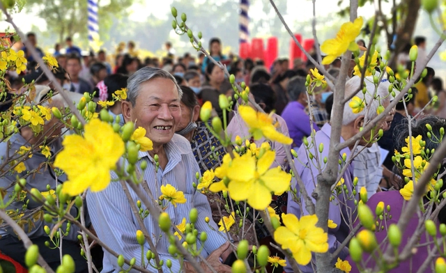 Độc đ&aacute;o đường hoa mai v&agrave;ng B&igrave;nh Lợi rực rỡ ch&agrave;o xu&acirc;n B&iacute;nh Ngọ 2026- Ảnh 3.