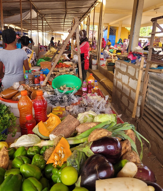 Nàng dâu Việt ở Senegal thuê xe ngựa tìm nguyên liệu làm nem rán, giò chả - Ảnh 5.