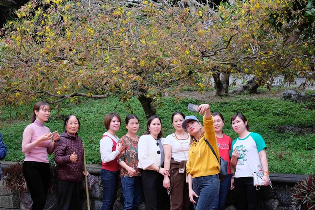 Quảng b&aacute; Di sản văn h&oacute;a thế giới Y&ecirc;n Tử bằng c&ocirc;ng nghệ  - Ảnh 1.