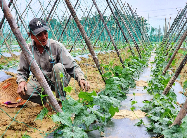 Mạch sống từ l&ograve;ng đất- Ảnh 3.