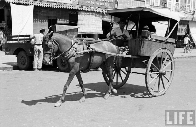 &Iacute;t ai biết, TP.HCM c&oacute; 'đường của ngựa' hơn 100 năm trước chợ nh&agrave; gi&agrave;u- Ảnh 1.