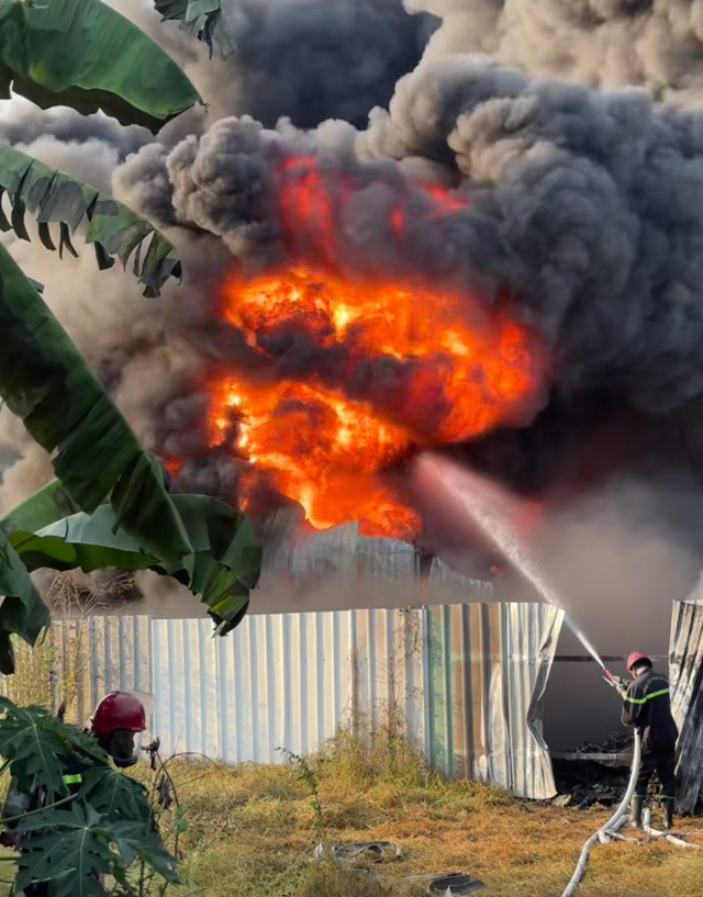 Điều tra nguyên nhân vụ cháy trên đường Lê Thị Ngót xã Củ Chi - Ảnh 1.