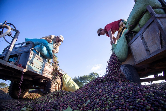 Xuất khẩu lo chi phí vận tải biển tăng- Ảnh 2. Xuất khẩu lo chi phí vận tải biển tăng- Ảnh 2.