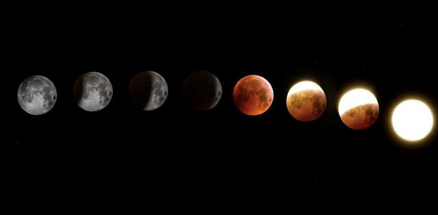  2028 người Việt mới gặp lại nguyệt thực toàn phần! - Ảnh 2.