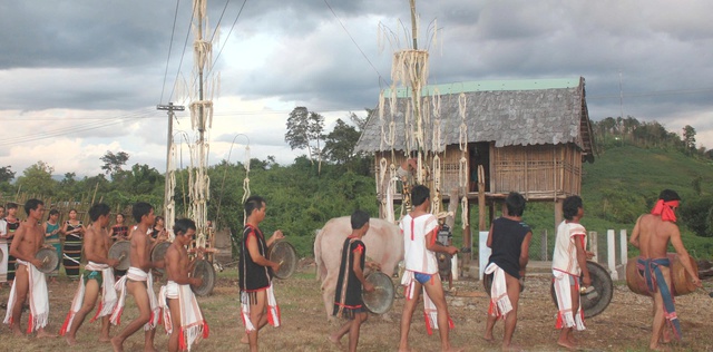 Vật thiêng của làng: Thần ngà voi của người Rơ Mâm- Ảnh 3. Vật thiêng của làng: Thần ngà voi của người Rơ Mâm- Ảnh 3.