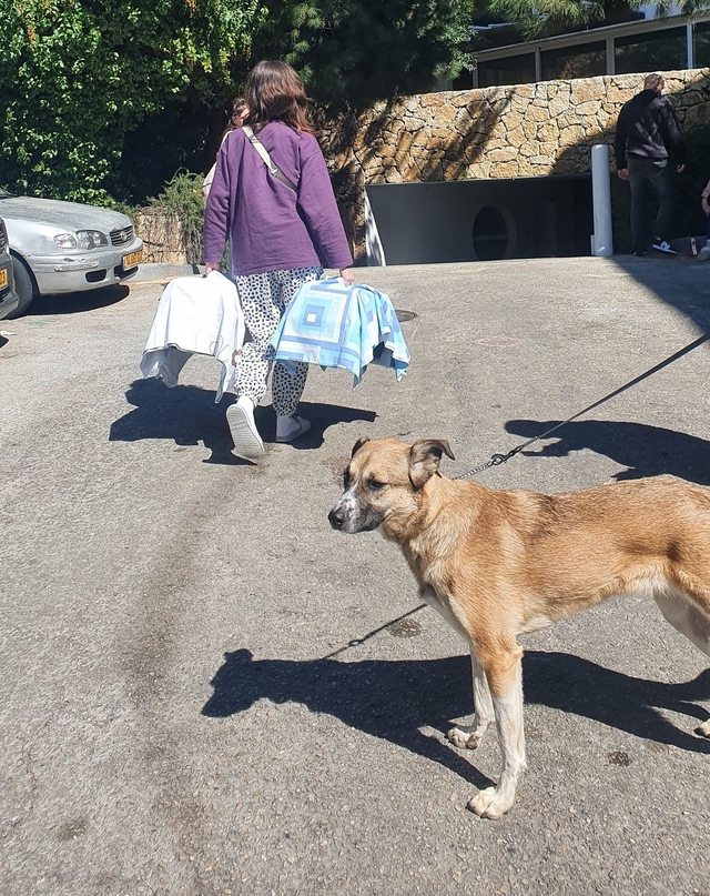  20 lần chạy xuống hầm trú ẩn, không có bữa ăn ngon  - Ảnh 2.