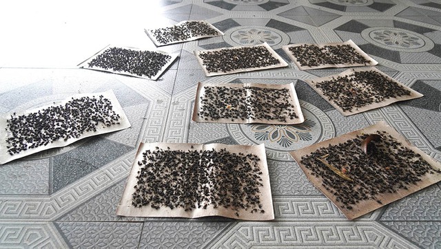 Khốn khổ sống cạnh bãi rác Đông Nam - Ảnh 4.