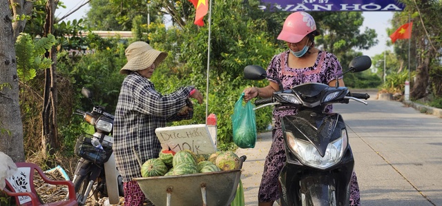 X&oacute;t xa ruộng dưa hấu B&igrave;nh Ch&aacute;nh hư hại, n&ocirc;ng d&acirc;n ngh&egrave;o trắng tay sau tết - Ảnh 1.