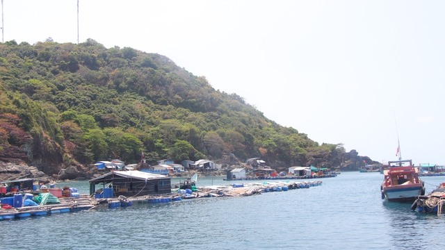 C&agrave; Mau bầu cử sớm H&ograve;n Chuối để giữ trọn quyền l&aacute; phiếu biển đảo   - Ảnh 3.