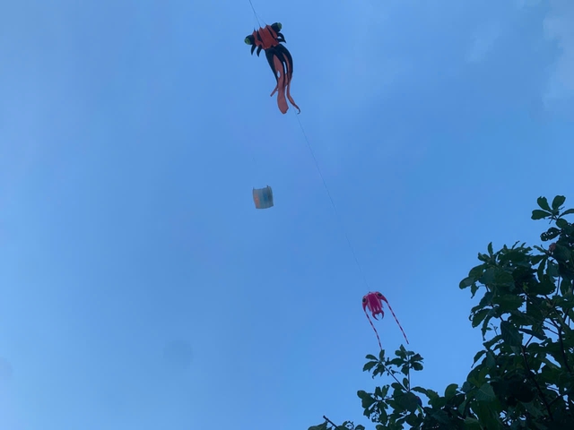 Chiều n&agrave;o cũng đ&ocirc;ng k&iacute;n: B&atilde;i đất gần cầu Ba Son th&agrave;nh 'thi&ecirc;n đường thả diều' - Ảnh 4.