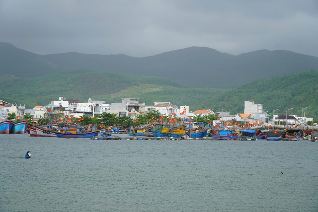Gi&aacute; dầu tăng, nhiều t&agrave;u c&aacute; ở Quảng Ng&atilde;i ngại vươn khơi- Ảnh 3.