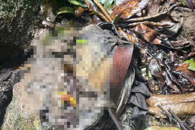 Ph&aacute;t hiện bộ xương người tại b&igrave;a rừng, nghi đ&atilde; tử vong nhiều th&aacute;ng- Ảnh 2.