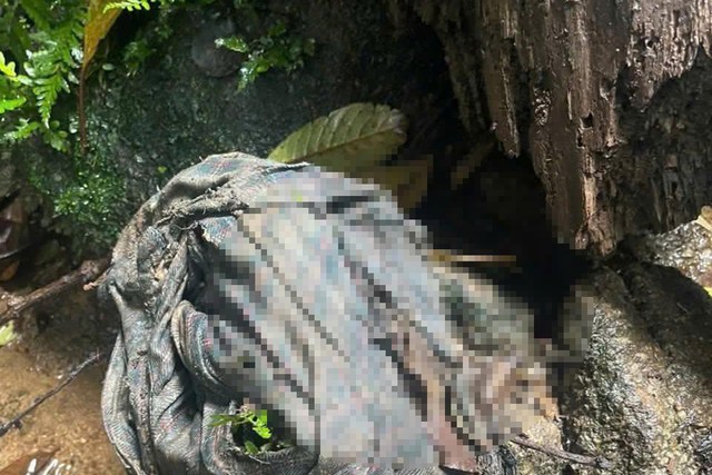 Ph&aacute;t hiện bộ xương người tại b&igrave;a rừng, nghi đ&atilde; tử vong nhiều th&aacute;ng- Ảnh 1.