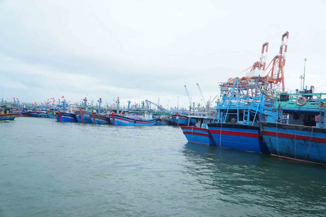 Ngư d&acirc;n nỗ lực vượt kh&oacute; - Ảnh 3.