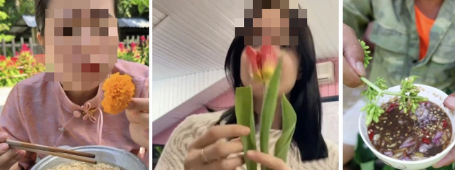 Cẩn thận với trend 'ăn hoa như ăn rau'- Ảnh 2.