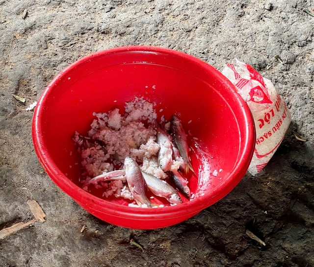 Đưa thuốc giải độc từ Thụy Sĩ về Đ&agrave; Nẵng cứu 3 anh em đang nguy kịch - Ảnh 1.