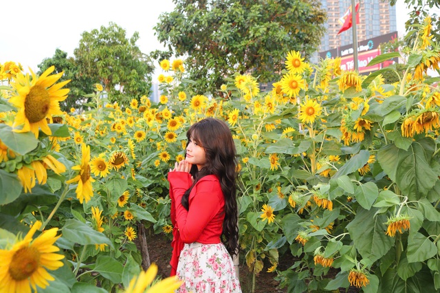 &lsquo;Nếu cả đời n&agrave;y kh&ocirc;ng rực rỡ th&igrave; sao?&rsquo; - Ảnh 1.