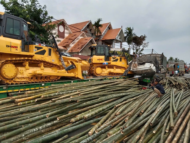 Tai nạn chết người, h&agrave;ng trăm c&acirc;y tre tr&agrave;n ra quốc lộ 1- Ảnh 2.