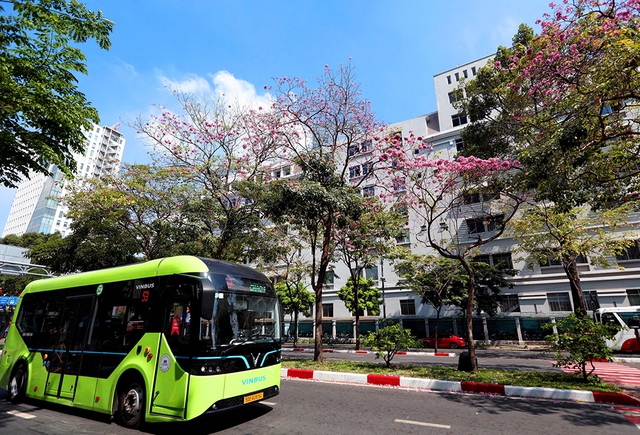 TP.HCM nắng n&oacute;ng gia tăng- Ảnh 2.