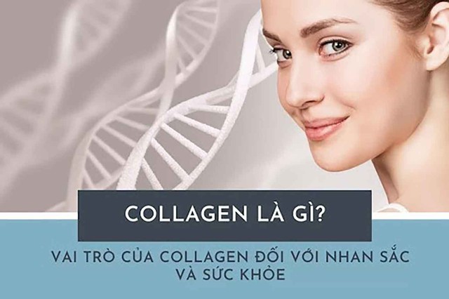 Sau 30 tuổi, chị em mới bắt đầu bổ sung collagen c&oacute; phải l&agrave; qu&aacute; muộn? - Ảnh 2.