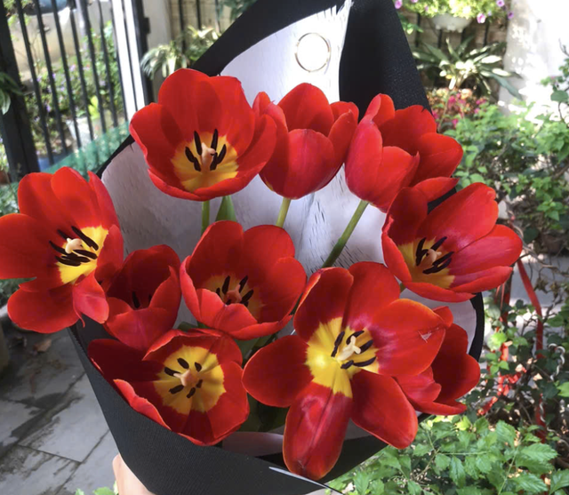 Hôm nay 14.3 là ngày đặc biệt gì mà nhiều người quan tâm, rộn ràng chia sẻ? - Ảnh 2.