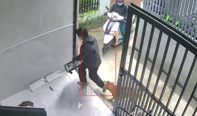 Nỗi ám ảnh chó dữ thả rông tấn liên tục cắn người tại TP.HCM - Ảnh 1.