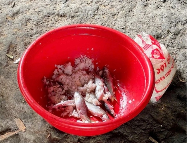 B&aacute;c sĩ 24/7: Botulinum thường xuất hiện trong những thực phẩm n&agrave;o, c&aacute;ch ph&ograve;ng tr&aacute;nh ra sao? - Ảnh 1.