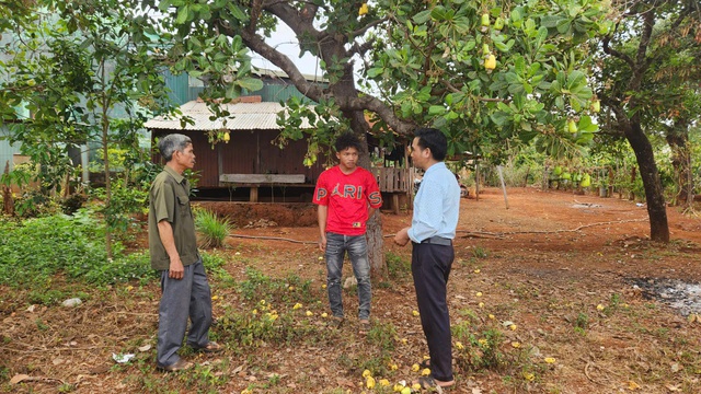 Bầu cử Quốc hội: Vùng biên Gia Lai sẵn sàng cho ngày hội lớn- Ảnh 1. Bầu cử Quốc hội: Vùng biên Gia Lai sẵn sàng cho ngày hội lớn- Ảnh 1.