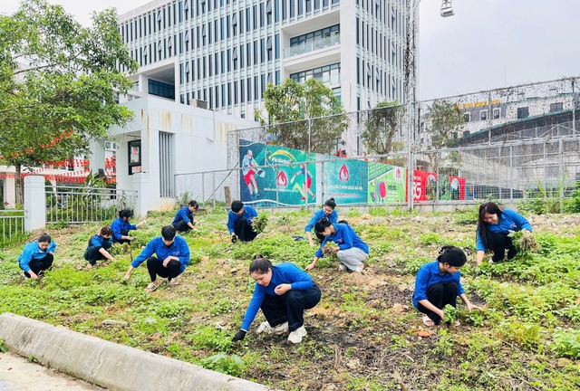 Tuổi trẻ Cao Bằng thực hiện c&ocirc;ng tr&igrave;nh thanh ni&ecirc;n ch&agrave;o mừng ng&agrave;y hội non s&ocirc;ng- Ảnh 3.