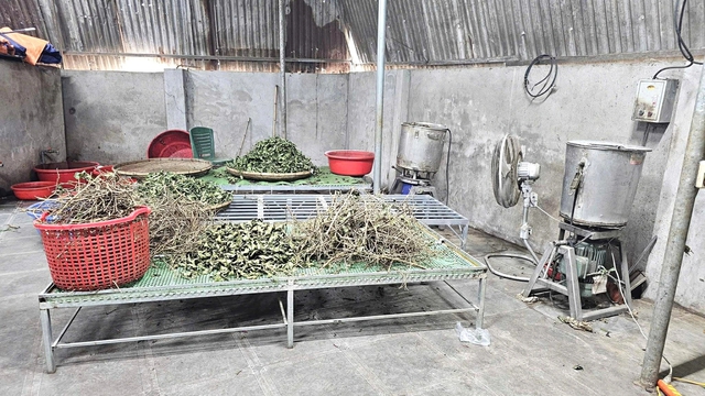 'Thảo dược đắp xương khớp Hoàng Minh Đường' không phải bài thuốc gia truyền - Ảnh 3.