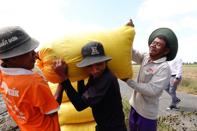 Khách hàng lớn nhất của hạt gạo Việt Nam tăng nhập khẩu - Ảnh 1. Khách hàng lớn nhất của hạt gạo Việt Nam tăng nhập khẩu - Ảnh 1.