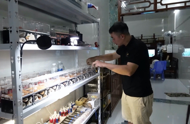  Khám phá ' đế chế ' thu nhỏ trong hộp kính năm 2026 - Ảnh 6.