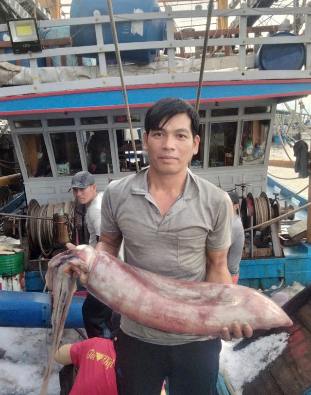 C&acirc;u chuyện cảm động về con r&ugrave;a mắc lưới được giải cứu - Ảnh 1.