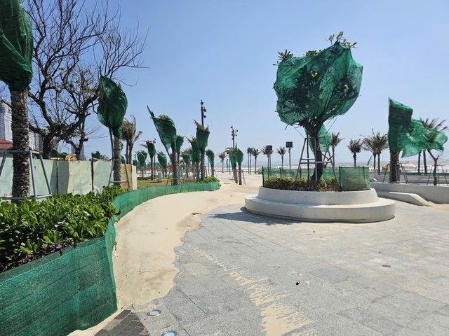 V&igrave; sao dự &aacute;n ng&agrave;n tỉ ở B&atilde;i Sau của Vũng T&agrave;u bị c&aacute;t biển phủ k&iacute;n?- Ảnh 1.