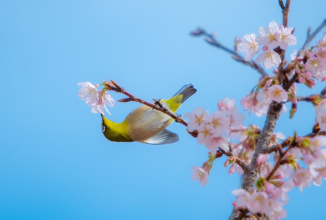 H&ocirc;m nay 19.3 ng&agrave;y đầu th&aacute;ng 2 &acirc;m lịch: M&ugrave;ng 1 c&oacute; g&igrave; đặc biệt? - Ảnh 2.