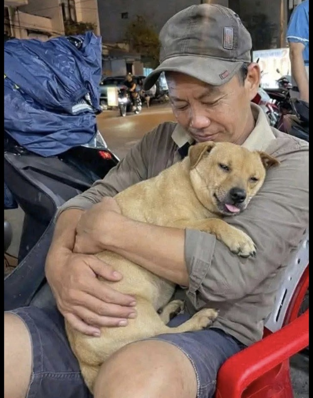 Cảm động h&agrave;nh tr&igrave;nh t&igrave;m ch&oacute; cưng t&ecirc;n Nọng: D&acirc;n mạng theo d&otilde;i hơn 1 th&aacute;ng - Ảnh 1.