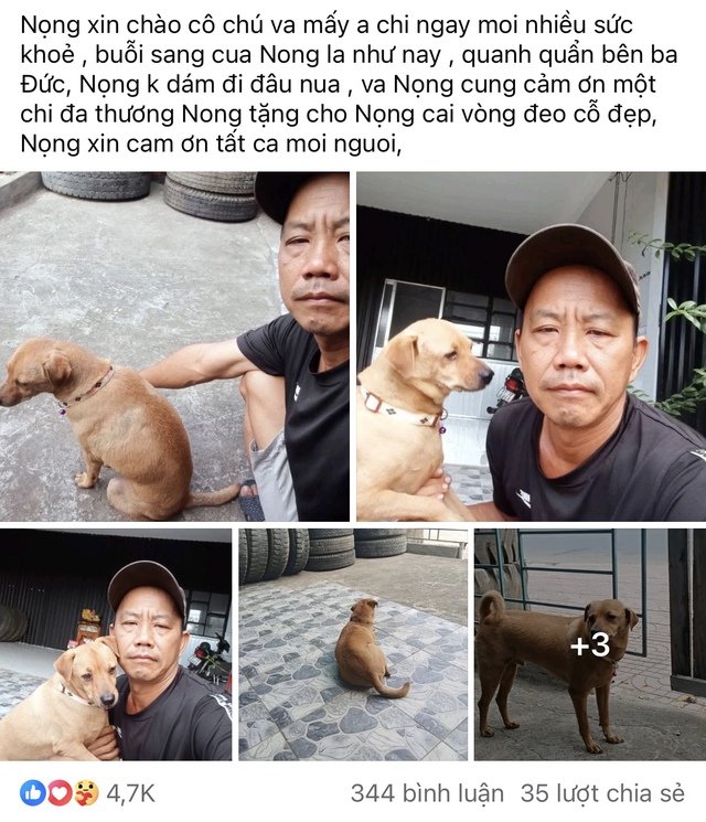 Cảm động h&agrave;nh tr&igrave;nh t&igrave;m ch&oacute; cưng t&ecirc;n Nọng: D&acirc;n mạng theo d&otilde;i hơn 1 th&aacute;ng - Ảnh 3.
