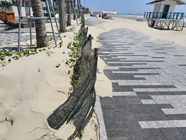 B&atilde;i Sau Vũng T&agrave;u: Dự &aacute;n ng&agrave;n tỉ bị c&aacute;t v&ugrave;i, c&aacute;ch n&agrave;o chặn c&aacute;t bay?- Ảnh 2.