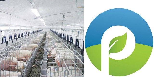 C&ocirc;ng ty CP Procimex Việt Nam: Cải tiến c&ocirc;ng nghệ, n&acirc;ng cao chất lượng dịch vụ - Ảnh 1.