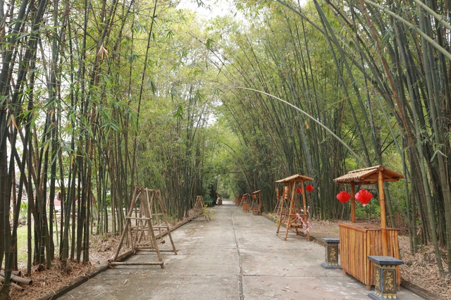 Ph&uacute; An - 'ng&acirc;n h&agrave;ng tre' lớn nhất Việt Nam, xanh m&aacute;t giữa v&ugrave;ng c&ocirc;ng nghiệp - Ảnh 1.