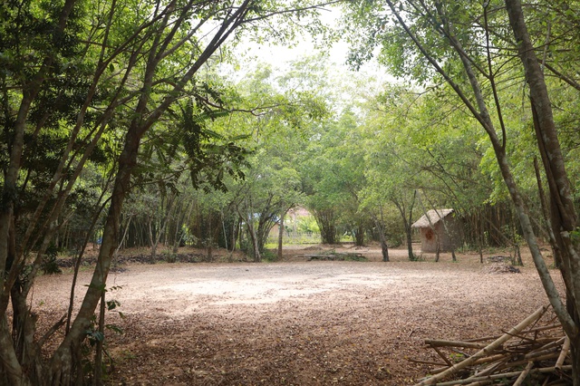 Ph&uacute; An - 'ng&acirc;n h&agrave;ng tre' lớn nhất Việt Nam, xanh m&aacute;t giữa v&ugrave;ng c&ocirc;ng nghiệp - Ảnh 4.