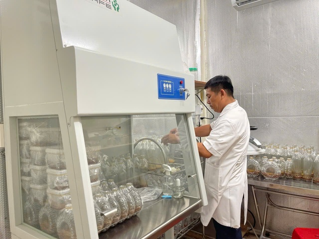 Kỹ sư x&acirc;y dựng l&agrave;m nghiệp c&ocirc;ng nghệ cao với m&ocirc; h&igrave;nh trồng dưa lưới   - Ảnh 7.