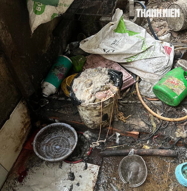 R&ugrave;ng m&igrave;nh l&ograve; giết mổ lậu ch&oacute;, m&egrave;o - Ảnh 3.