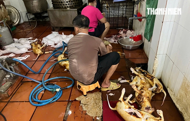 R&ugrave;ng m&igrave;nh l&ograve; giết mổ lậu ch&oacute;, m&egrave;o - Ảnh 1.